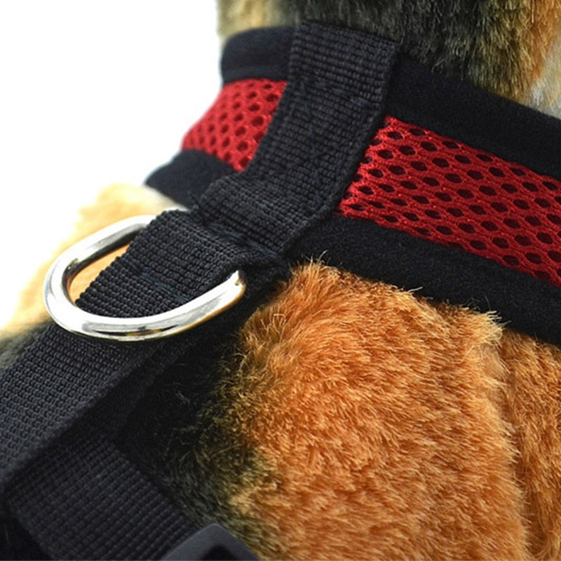 Dog Harness Training Vest-Dog Harness-TheHonestDog