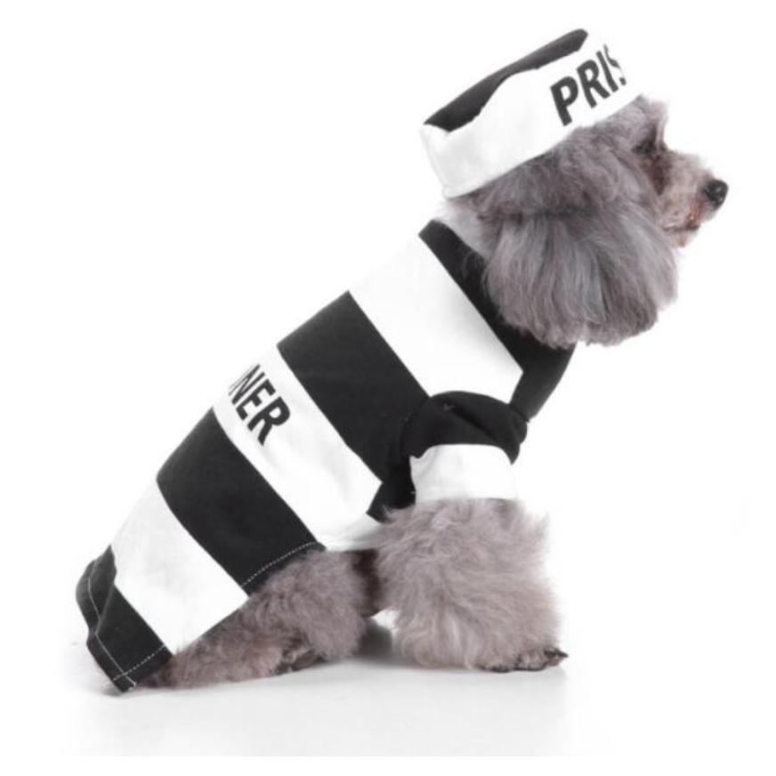 Halloween Dog Prisoner Costume-Halloween Costume-TheHonestDog