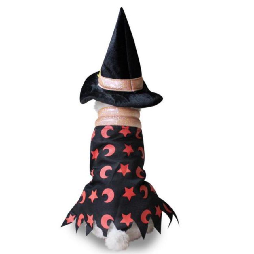 Halloween Dog Witch Costume-The Honest Dog-TheHonestDog