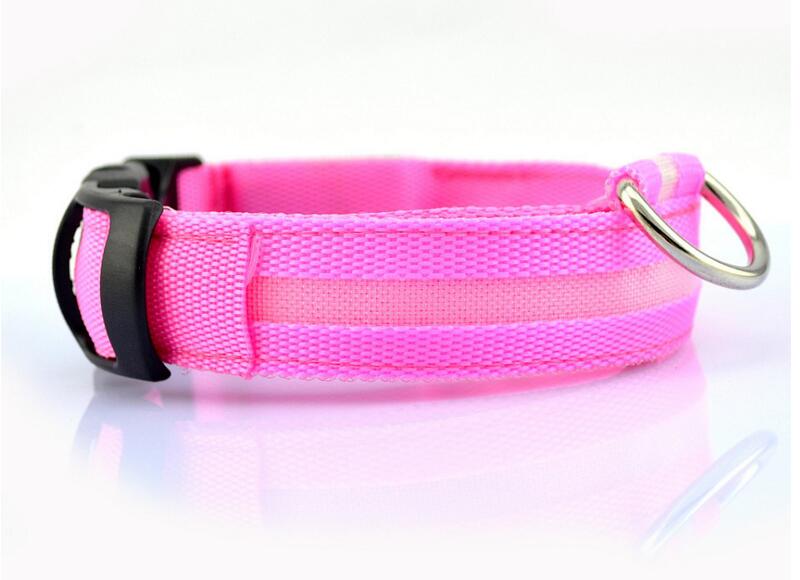 Nylon LED Dog Collar or Pendant-Dog Collar-TheHonestDog