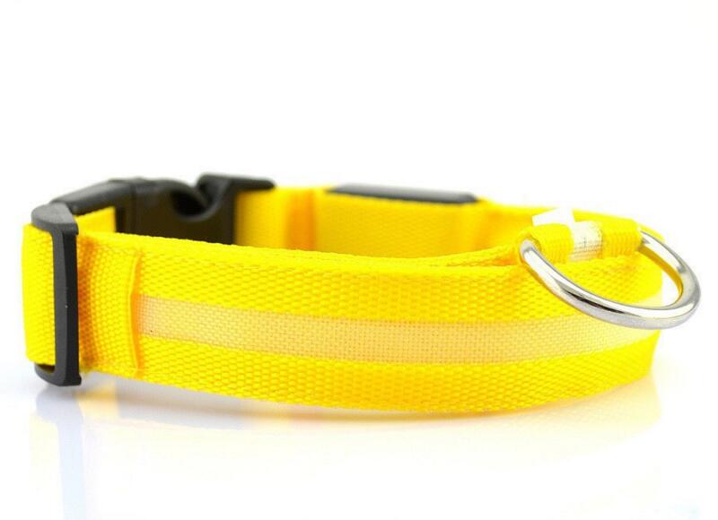 Nylon LED Dog Collar or Pendant-Dog Collar-TheHonestDog