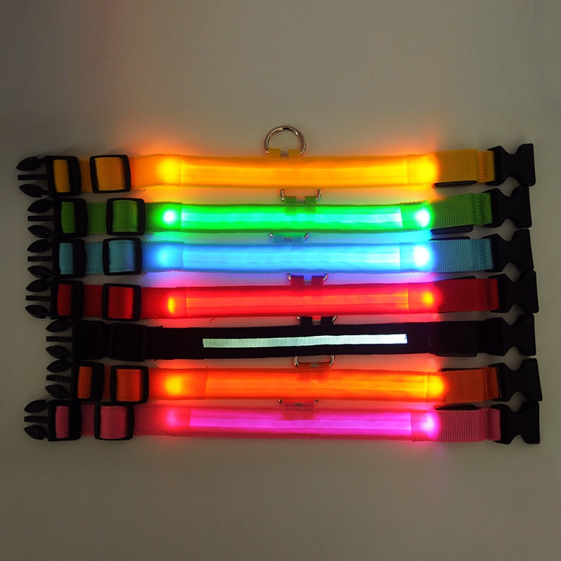 Nylon LED Dog Collar or Pendant-Dog Collar-TheHonestDog