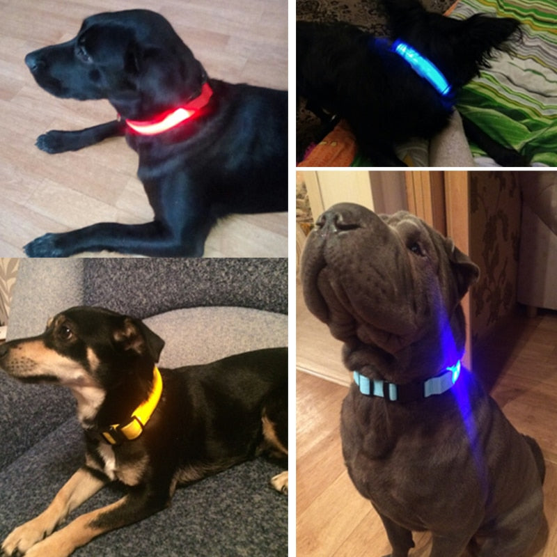 Nylon LED Dog Collar or Pendant-Dog Collar-TheHonestDog