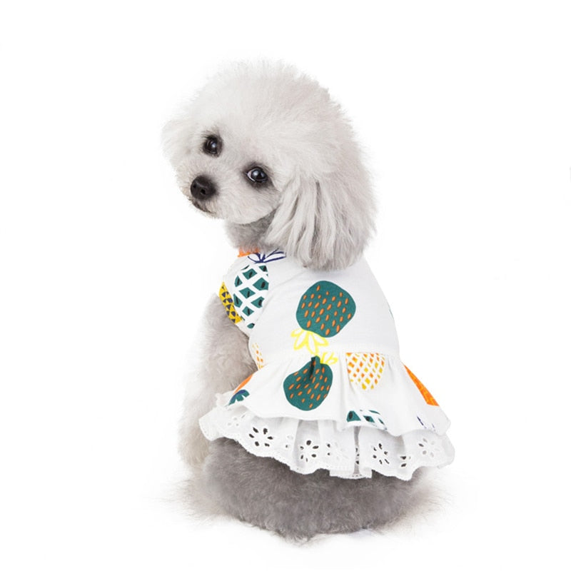 Pineapple Dog Dress-Dog Dress-TheHonestDog