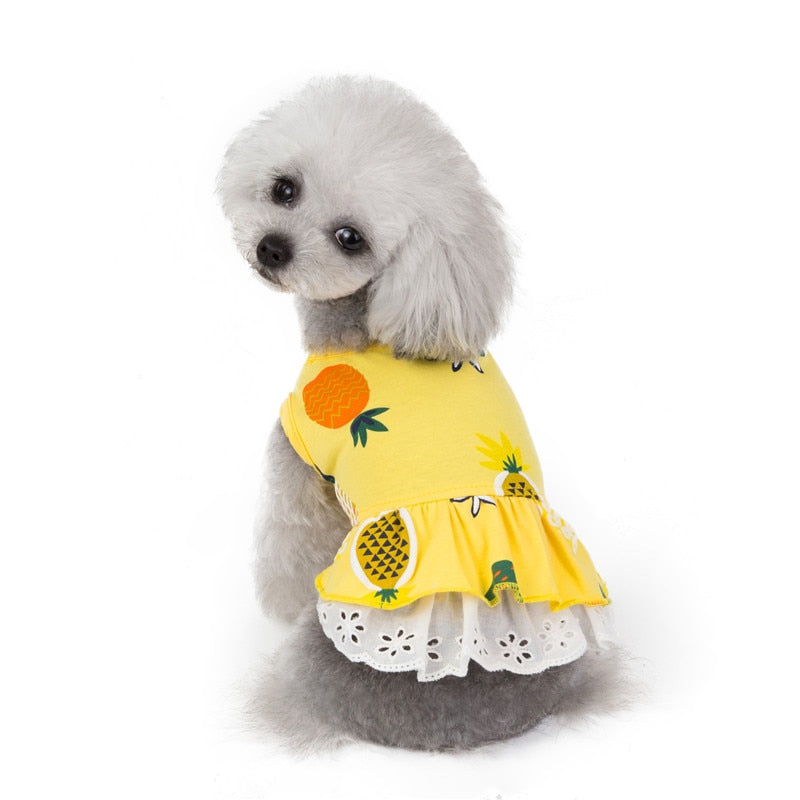 Pineapple Dog Dress-Dog Dress-TheHonestDog