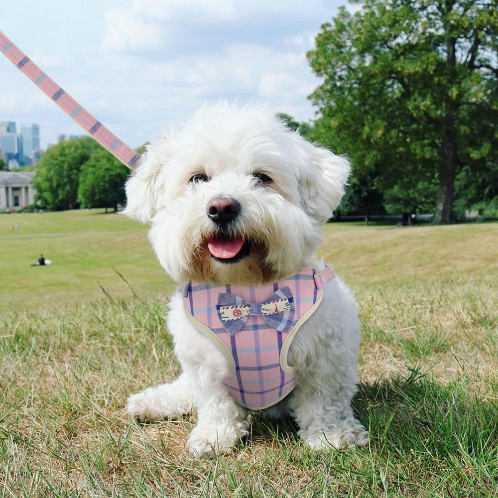 Plaid Mesh Dog Harness with Bowtie and Leash-Dog Harness-TheHonestDog