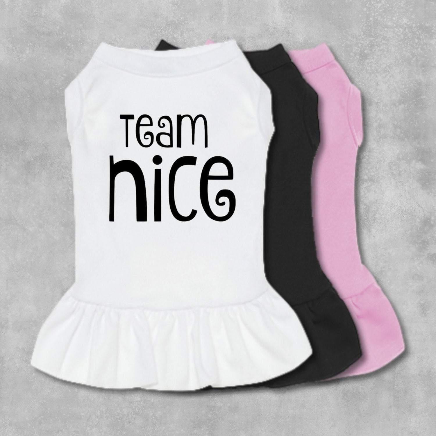 Team Nice Dog Dress-The Honest Dog-TheHonestDog